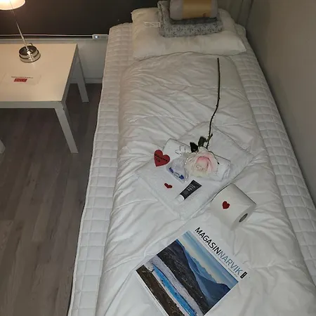 Koselig Rom I Sentrum Gratis Wifi Og Parkering Rom 3 * Narvik